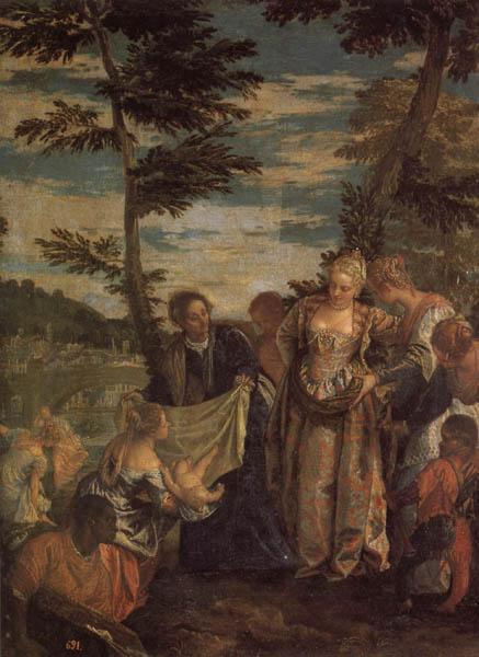 VERONESE (Paolo Caliari) Moses Saved from the Waters of the Nile France oil painting art